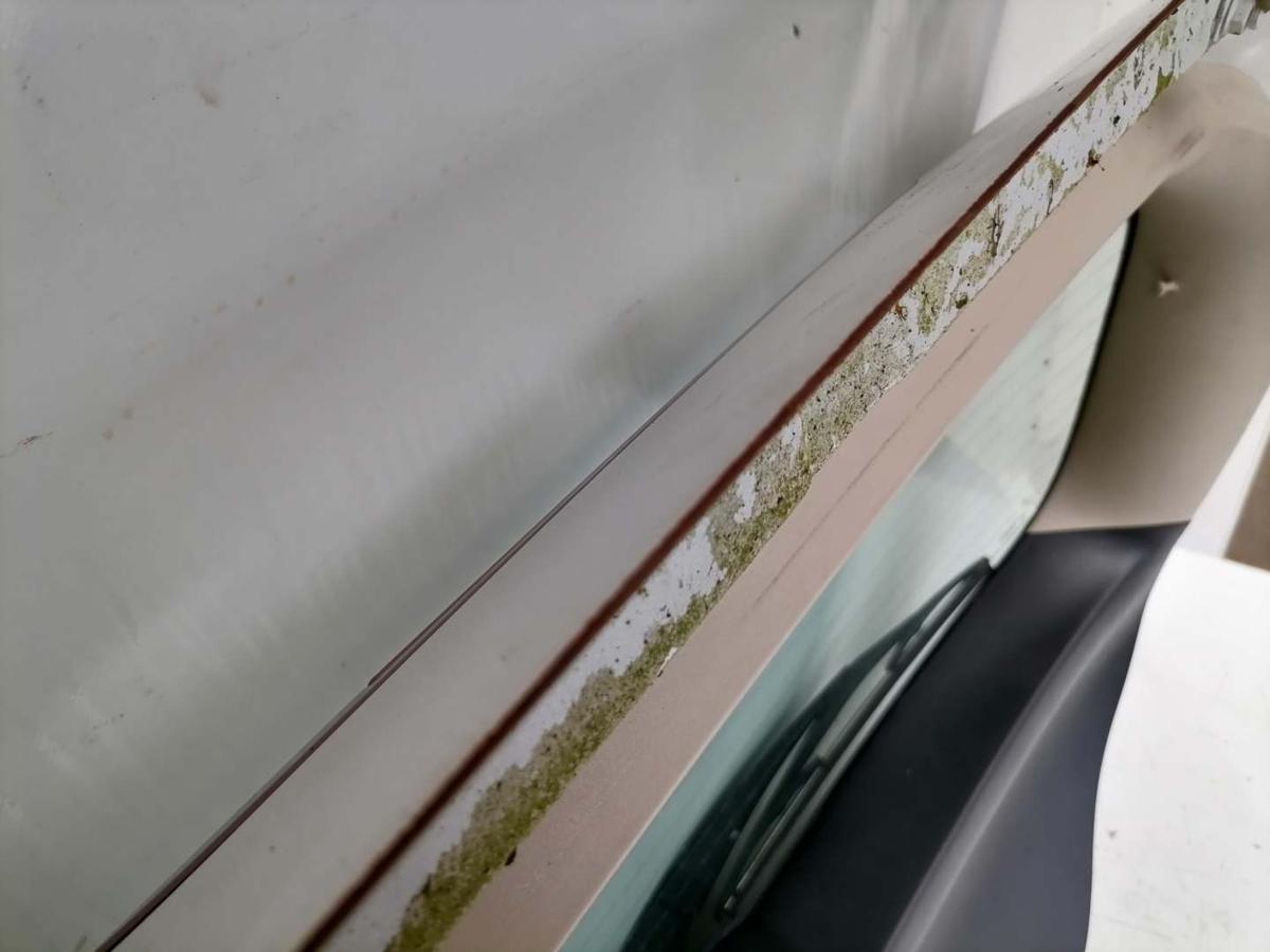 Nissan Tiida original Heckklappe mit Heckscheibe Weiß Fließheck Bj.2007